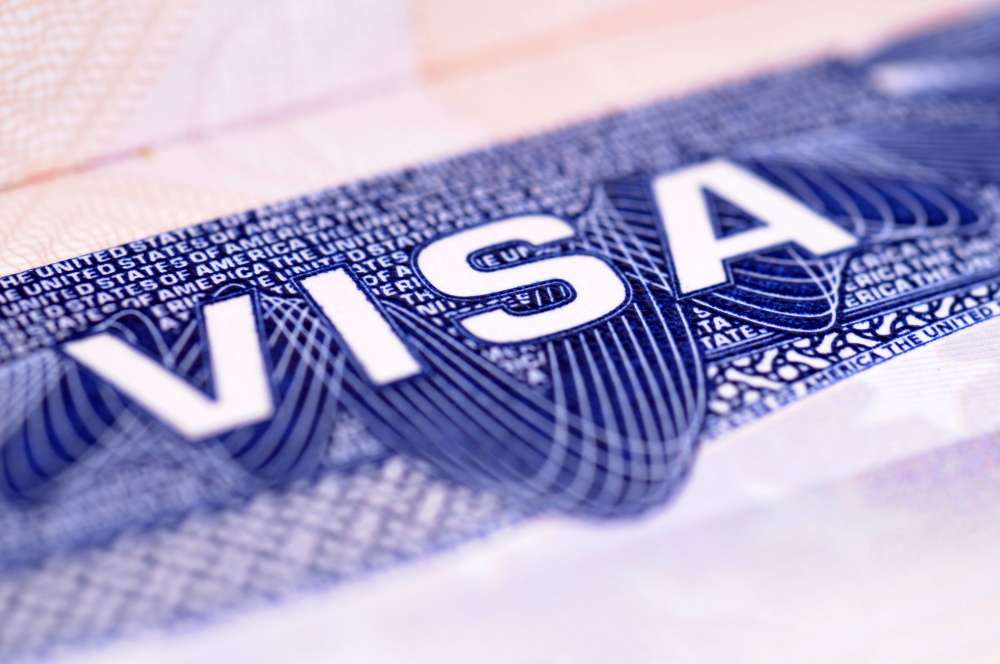 National Innovation Visa (Subclass 858)